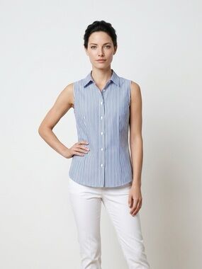 Talbots Blue and White Striped Button Down Shirt | No Iron Shirt